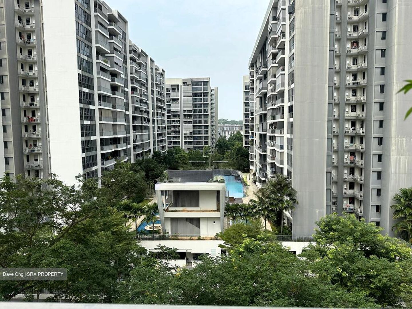 Blk 314 Sembawang Drive (Sembawang), HDB 4 Rooms #517127171